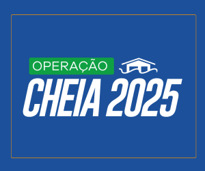 CAPA CHEIA 2025 GD 300x250 5 300x250 3