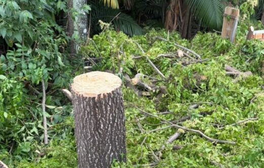 Ocorrência em APP no Nova Cidade mobiliza Patrulha Ambiental após denúncia