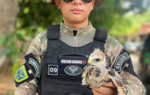 Ação no centro histórico de Manaus leva à identificação de dois mandados de prisão